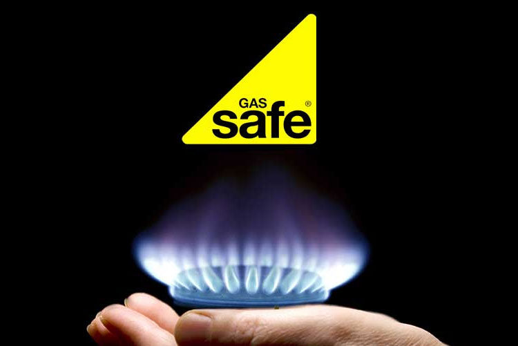 Domestic Gas Safety Appliances (Initial)